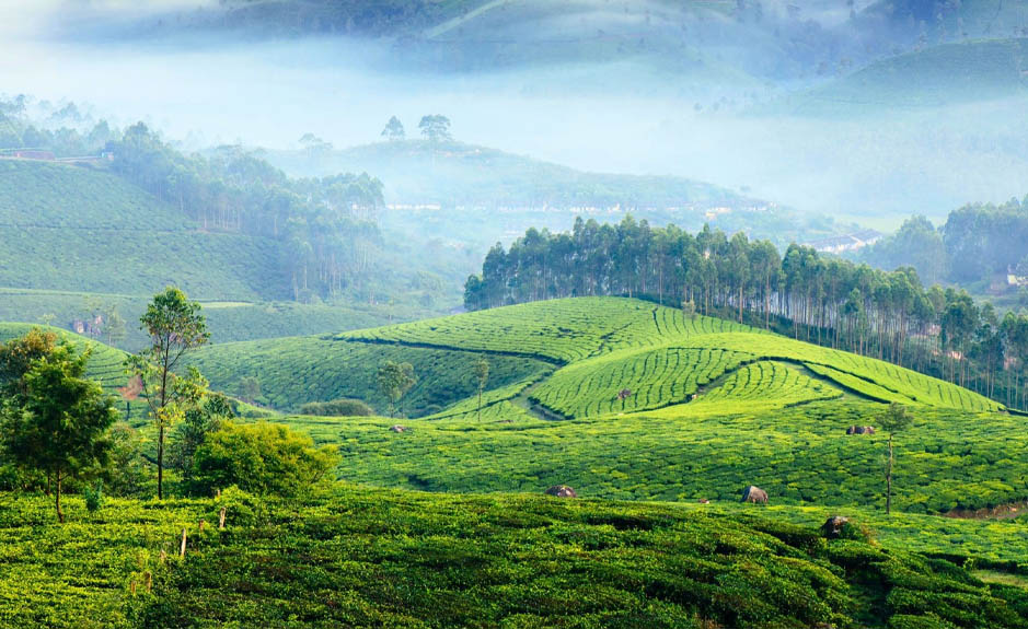 Munnar